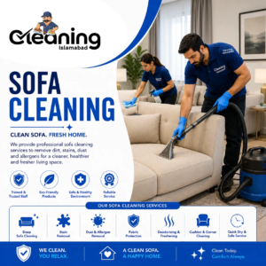 Sofa Cleaning