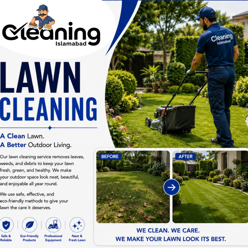 Lawn Cleaning