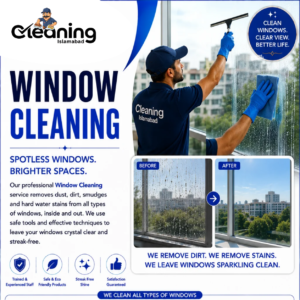 Window Cleaning