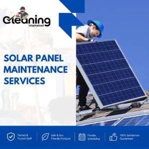 Solar Panel Maintenance