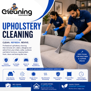 Upholstery Cleaning