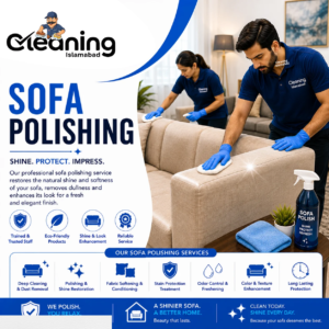 Sofa Polishing