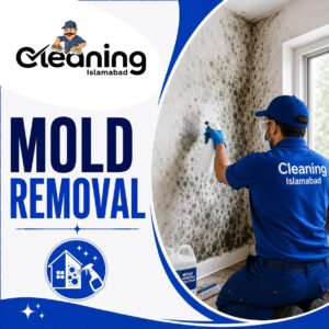 Mold Removal
