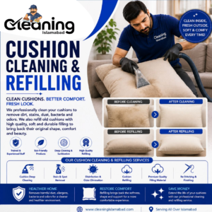 Cushion Cleaning & Refilling